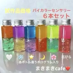 試作品価格‼️ 即購入可　センサリーボトル バイカラー　6本セット　No.152