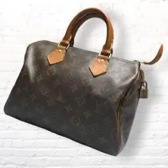 LOUIS VUITTON スピーディ25 ミニボストンバッグ ハンドバッグ