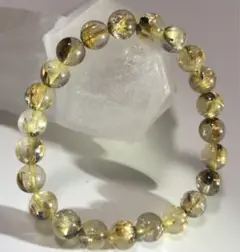 Item thumbnail for item cf1d1734-5bea-4726-abfe-088d7cdc2be6