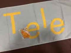 【期間限定値下げ】Tele タオル ベランダ キーホルダー　２点セット