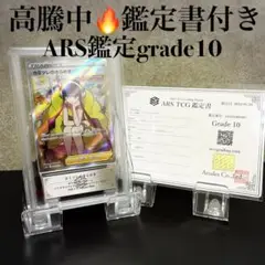 2025年最新】カミツレのきらめき arsの人気アイテム - メルカリ