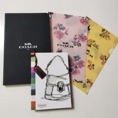 COACH ノート　クリアファイル　2枚　メモ帳