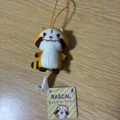 あらいぐま　ラスカル　きゃらぷてぃマスコット　キーホルダー　ナムコ限定