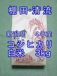 新米 新潟県 4年産 コシヒカリ 白米 3kg(3kg×1袋) お米 米