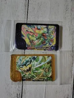 ポケモンフレンダ2枚
