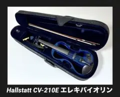 2025年最新】エレキバイオリン CV 210Eの人気アイテム - メルカリ