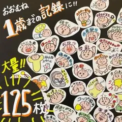 生後〜１歳　ひと目で分かる！簡単記録　マタニティフレークシール　母子手帳シール