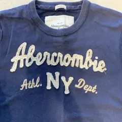 Abercrombie & Fitch アバクロTシャツ ネイビー M