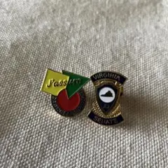 Virginia Senate ピンバッジ 2個セット