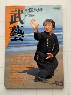 武藝　1993年10月