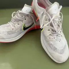 Item thumbnail for item 30199c03-69b8-4272-ac23-a32d3abb9c96