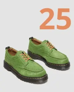 Item thumbnail for item ebf7b70f-ba4f-4800-a203-25060c062ede