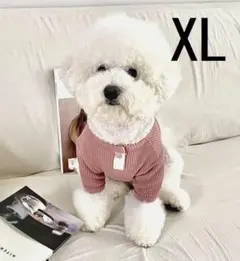 Item thumbnail for item e914e38f-464c-4bcf-a9e0-3905a56c53aa