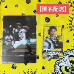 【匿名配送】タイガース オンラインくじ 坂本