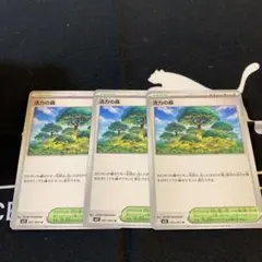 ポケカ　活力の森 3枚セット