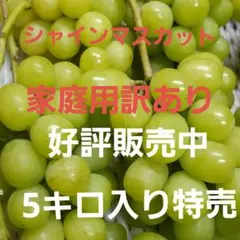 シャインマスカット家庭用訳あり品