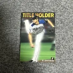 大谷翔平 タイトルホルダー