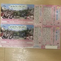 よみうりランド 入園ご招待券 2枚ペア 即購入ok☺︎