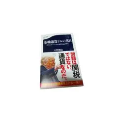 未使用　基軸通貨ドルの落日 トランプ・ショックの本質を読み解く