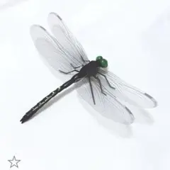 生態系を生かした 虫除け とんぼ ブローチ リアル トンボ 羽約14cm
