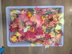 Item thumbnail for item 1ea3c88c-795e-468a-bdca-f07b74487be9