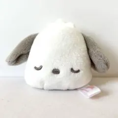 ポチャッコ フェイスマスコットキーホルダー サンリオキャラクターズ 100均