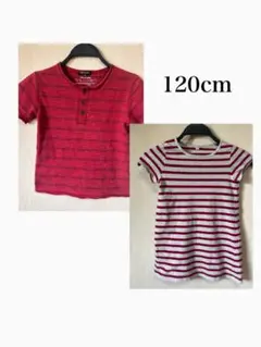 GENTIL 赤 ストライプ Tシャツ 120cm