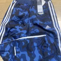 Item thumbnail for item 8989eba4-a81c-4d66-89e5-c3131042df66