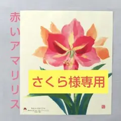 ◼新品未使用◼しゅんこう お得♪『デンドロビューム』『アマリリス』ちぎり絵キット