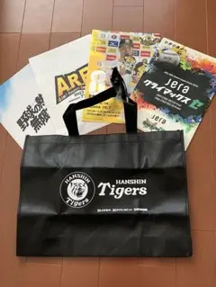 阪神タイガース　不織布エコバッグ　クリアファイル4枚　新品未使用