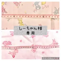【送料込】USAヴィンテージ コットン一式