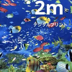 【特価】★デジタルプリント生地★水中の美しい魚★ ブルー★
