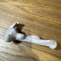 Item thumbnail for item dba24e5a-5ad4-449f-ab53-118a507717e6