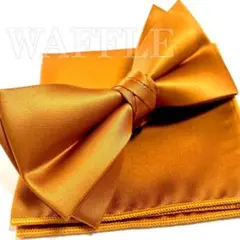 Item thumbnail for item 14b044a1-3d9a-4041-8150-729551fca956