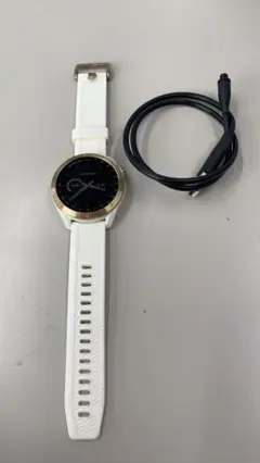 GARMIN(ガーミン)ゴルフナビGPS Approach S40