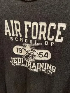 champion STAR WARS コラボTシャツ Lサイズ