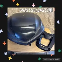 m54333632339_1.jpg?1742134385
