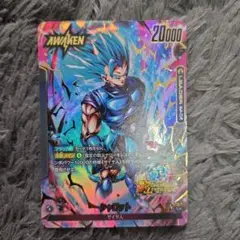 フュージョンワールド シャロット リーダーパラレル