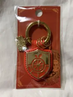 ポケモン　キーホルダーオレンジアカデミー