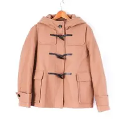 Item thumbnail for item 19033a35-168e-42e1-ba7d-2592a1b0ecc8