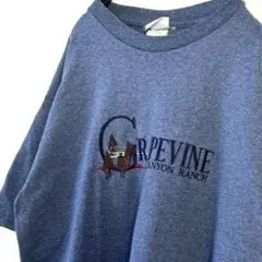 dhi GRAPEVINE キャニオン 刺繍 Tシャツ ブルー 青 古着