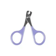 Item thumbnail for item 0e6c679b-16b5-487e-a0f4-ba10bda0543a