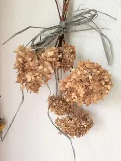 ★紫陽花アナベルのアンティークスワッグ