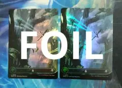 MTG 森/Forest EOE ボーダーレス 日本語版FOIL2枚