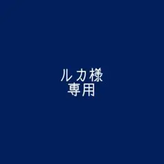 ルカ様　専用‪.ᐟ‪.ᐟ