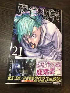 Japan animation 漫画呪術廻戦 21