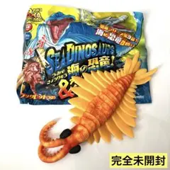 アノマロカリス　温度で色が変わる　海の恐竜&co.