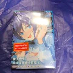 純情エッチング 1 新品開封 ワンダーグー特典付き シュリンク付き