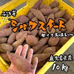 数量限定◎鹿児島県産 ぷち芋 シルクスイート 10kg おやつにピッタリ◎b