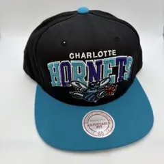 ミッチェルアンドネス　キャップ　CHARLOTTESVILLE HORNETS